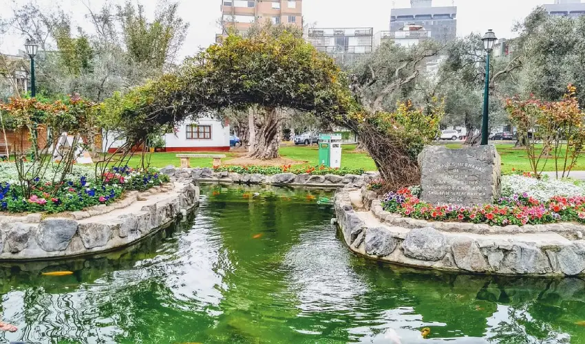 Tour por Lima, Parque el Olivar