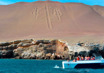 Galería 1