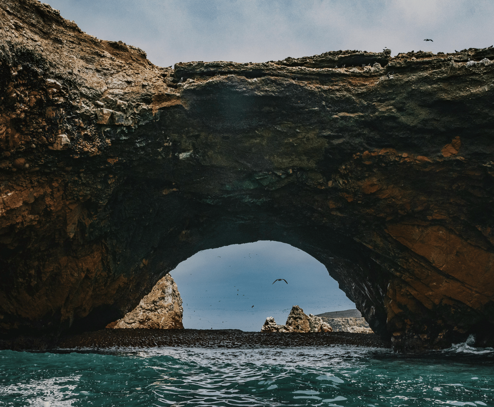 Guía para un viaje inolvidable a las islas ballestas – ica