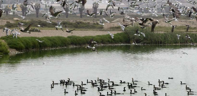 Conociendo el Pantano de Villa