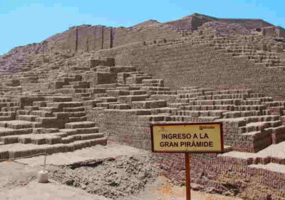 Galería 6